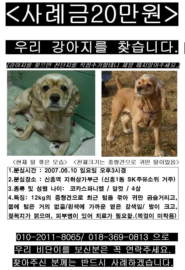 신흥종합청소 이미지